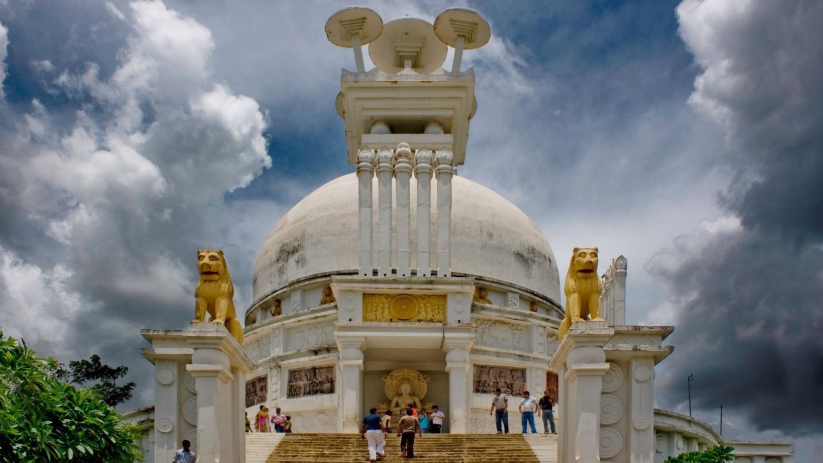 Dhauli 